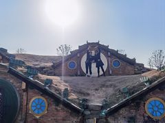 -武汉紫薇都市田园