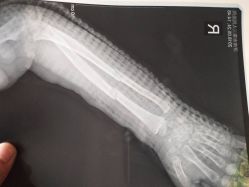 -蹦蹦跳跳(新奥购物中心店)