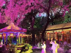 -白家大院·王府宫廷菜(苏州街店)