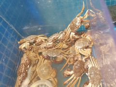 -曼格活海鲜·牛排自助(光明蓝鲸店)