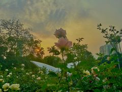 -人民公园(罗湖区)