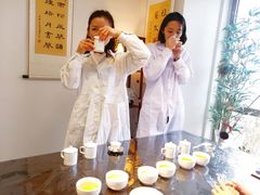 -诗宇时光茶艺书法古琴培训