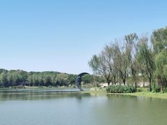 -昆山城市生态森林公园