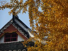 -四川大学(望江校区)