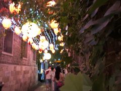 -花·fleur古董西餐厅(西城夜未央店)