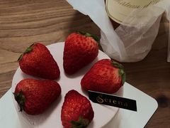 -莎琳娜食品有限公司·蛋糕店