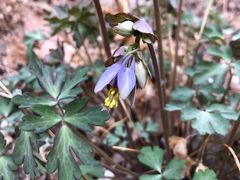 -碓臼峪自然风景区