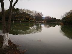-长广溪湿地公园