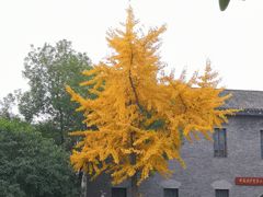 -中共五大会址纪念馆