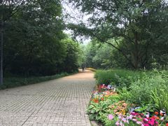 -西湖风景区-江洋畈生态公园