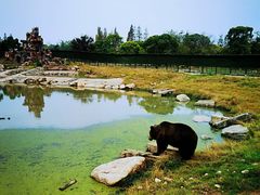 -上海野生动物园