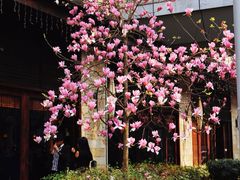 iphone_upload_pic-证大大拇指广场(芳甸路店)