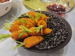 -丁老爷子苏香圆