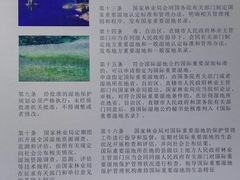 -重庆彩云湖湿地公园