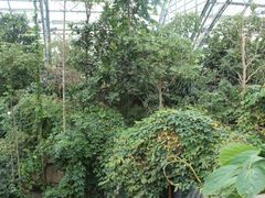 -南山植物园