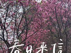 -凤凰沟景区
