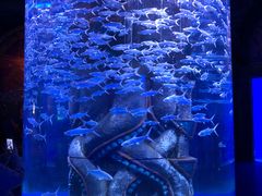 -波塞冬旅游度假区