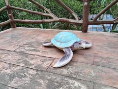 -广东惠东海龟国家级自然保护区