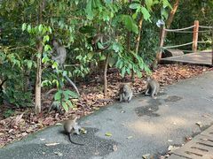 -武吉知马自然保护区