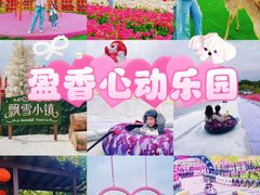 -盈香心动乐园