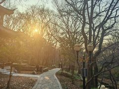 -句容茅山景区