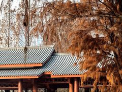 -重庆彩云湖湿地公园