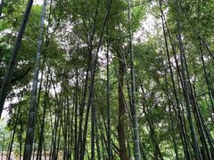 -古隆中景区