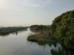 -梁鸿国家湿地公园
