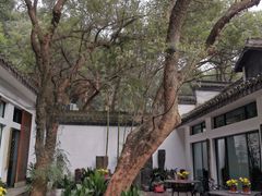 -楼外楼(玉泉店)