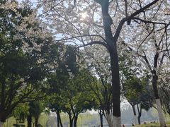 -堤角公园