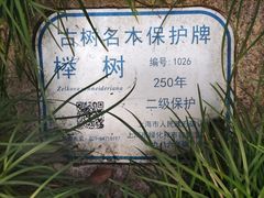 -秋霞圃