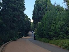 -长虫山生态公园风景林