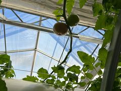 -兴芮温泉度假区