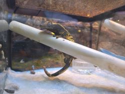 -酷嗒动物文化乐园(cutezoo西溪乐天城店)