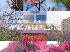 -小南山公园