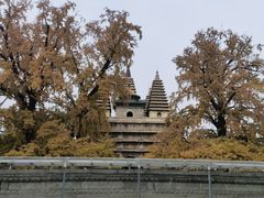 -北京石刻艺术博物馆(五塔寺)