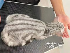 -comecome来吧宠物(奥克斯中心店)