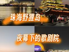 -野狸岛