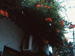 -达蓬山旅游度假区
