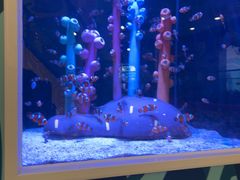 -海合安成都极地海洋公园