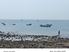-小麦岛公园
