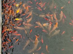 -天津盘山风景名胜区