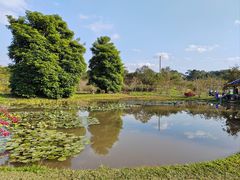 -中国科学院西双版纳热带植物园
