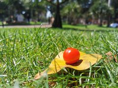 -恩宁刘福记(东华东路店)