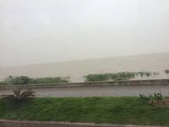 -长兴太湖图影湿地文化园