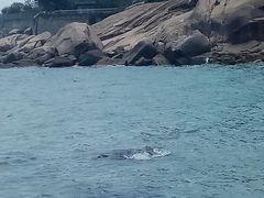 -玫瑰海岸文化旅游度假区