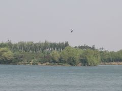 -丁香湖公园
