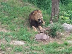 -石家庄市动物园