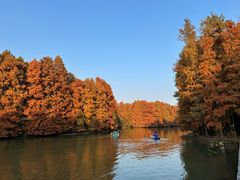 -上海海湾国家森林公园