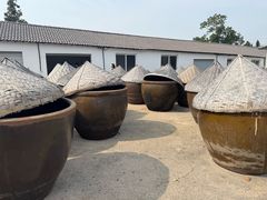 -苏州市吴中区光福窑上花果蜜饯厂